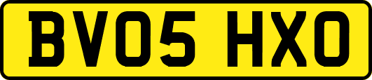 BV05HXO