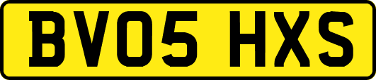 BV05HXS