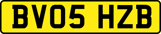 BV05HZB