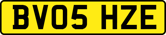 BV05HZE