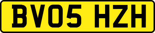 BV05HZH