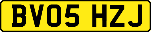 BV05HZJ