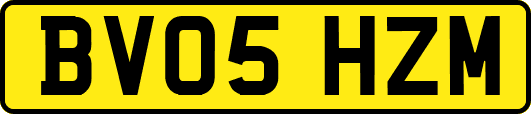 BV05HZM
