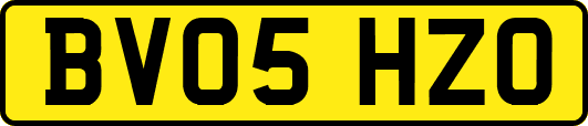BV05HZO