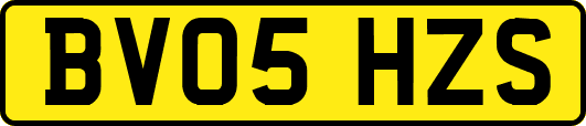 BV05HZS
