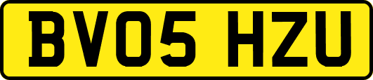 BV05HZU
