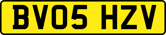 BV05HZV