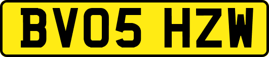 BV05HZW