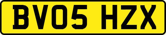 BV05HZX