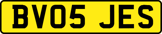 BV05JES