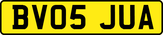 BV05JUA