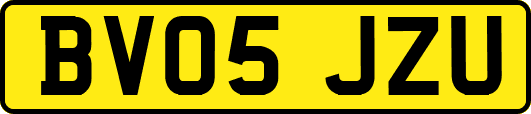 BV05JZU