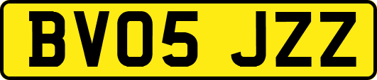 BV05JZZ