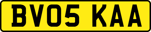 BV05KAA