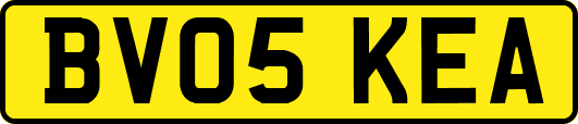BV05KEA