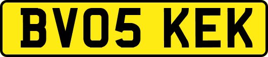 BV05KEK