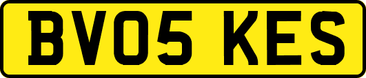 BV05KES