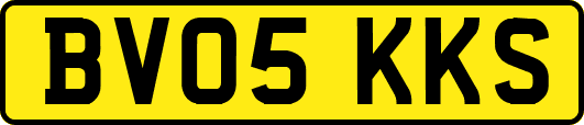 BV05KKS