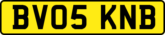 BV05KNB