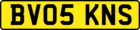 BV05KNS