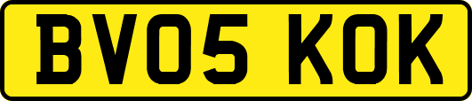 BV05KOK