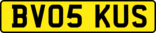 BV05KUS
