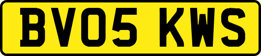 BV05KWS
