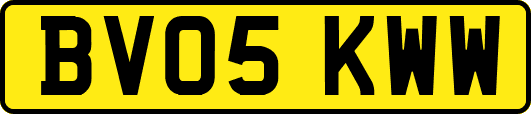 BV05KWW