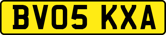 BV05KXA
