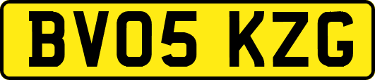 BV05KZG