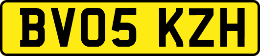 BV05KZH