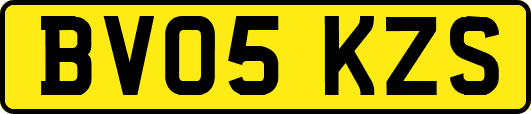 BV05KZS
