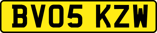 BV05KZW