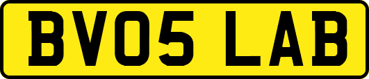 BV05LAB