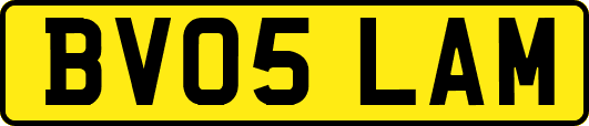BV05LAM