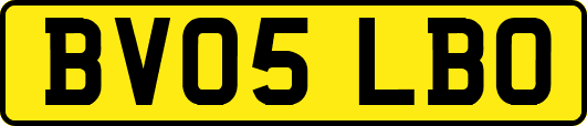 BV05LBO