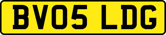 BV05LDG