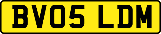 BV05LDM