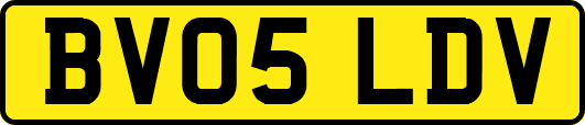 BV05LDV