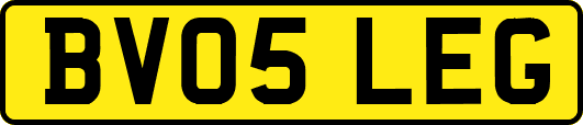 BV05LEG