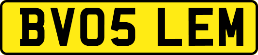 BV05LEM