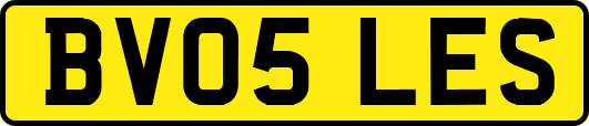BV05LES