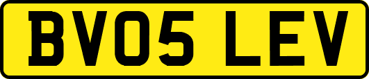 BV05LEV