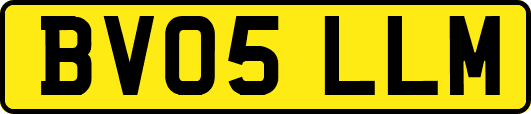 BV05LLM