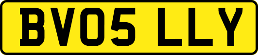 BV05LLY