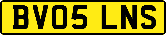 BV05LNS