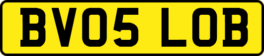 BV05LOB