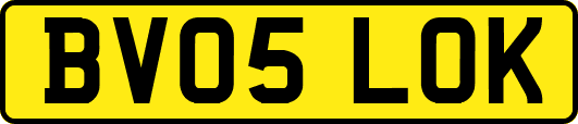 BV05LOK