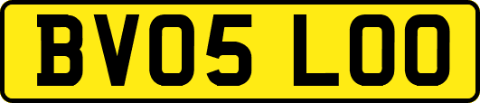 BV05LOO