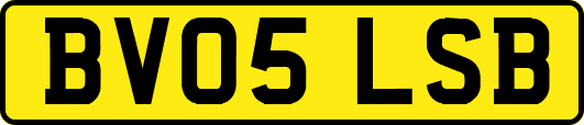 BV05LSB